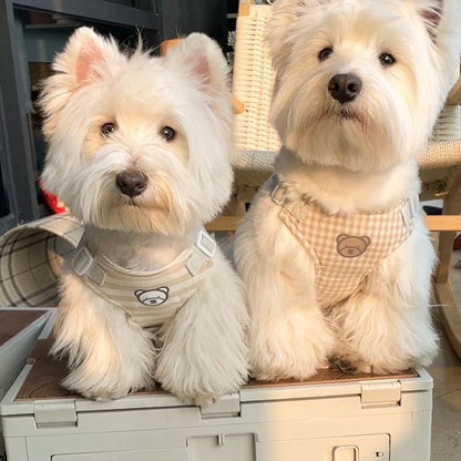 犬の韓国のかわいい熊のシリーズの胸のペットのテディは熊より外に出て胸の帯の牽引縄を持ちます