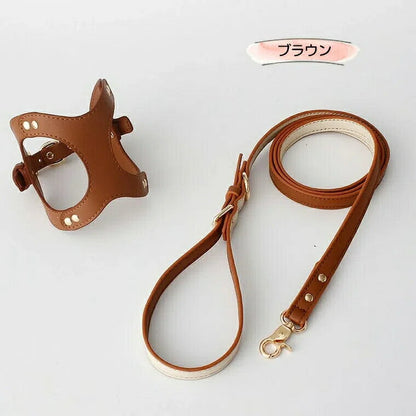 今年の新品 上品カラーで高見え 防水 ハーネス＆リード ハーネスリード ハーネスリードセット 胴輪 ハーネス リード 犬 イヌ ドッグ dog 小型犬 犬用 ペット用 犬具 胴輪 散歩 出かけ 簡単上