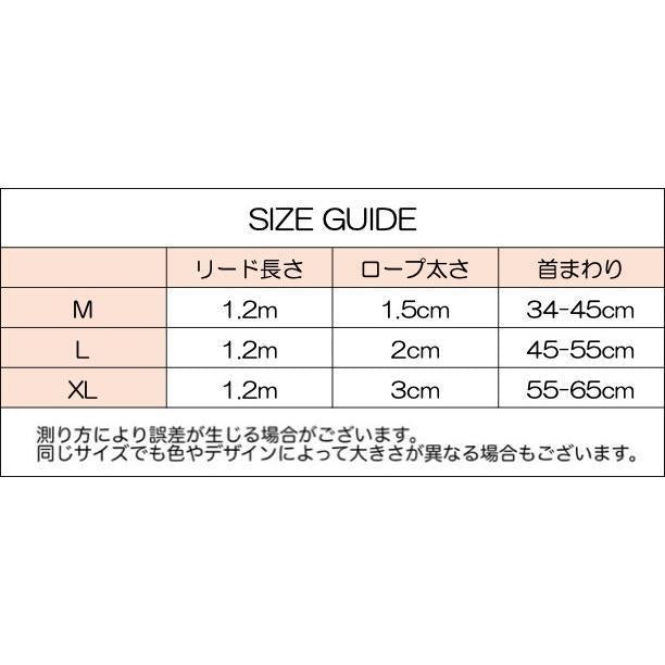 首輪 リード 2点セット 犬用 ペット用 ハーフチョーク リーシュ チェーン 牽引綱 シンプル お散歩 お出掛け ペット用品 ペットグッズ 犬 わんこ