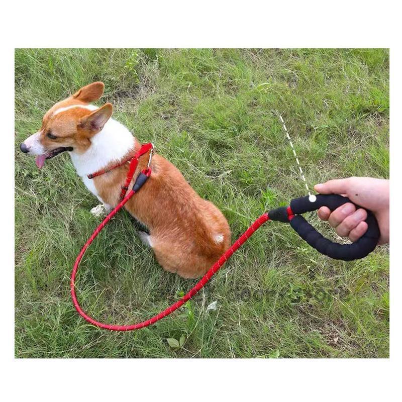 営业促进 犬 リード 3m ロングリード 反射機能 スポンジハンドル 小型犬 中型犬 散歩 コンパクト 持ちやすい 訓練リード 長い 丈夫 ロープ しつけ 訓練