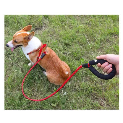 営业促进 犬 リード 3m ロングリード 反射機能 スポンジハンドル 小型犬 中型犬 散歩 コンパクト 持ちやすい 訓練リード 長い 丈夫 ロープ しつけ 訓練
