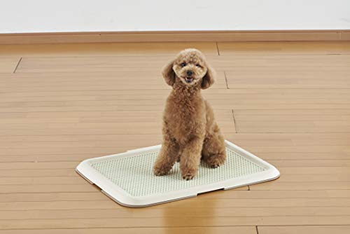 ボンビアルコン (Bonbi) 薄型しつけるトレー アイボリー M サイズ