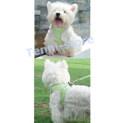 今週の新製品 タイムセール アウトレット 犬 猫 ハーネス 小型犬 中型犬 猫用 ネコ ウェアハーネス ハーネス&リードセット 犬ハーネス 抜けない 一体型 かわいい 簡単着脱 在庫が限られている在庫