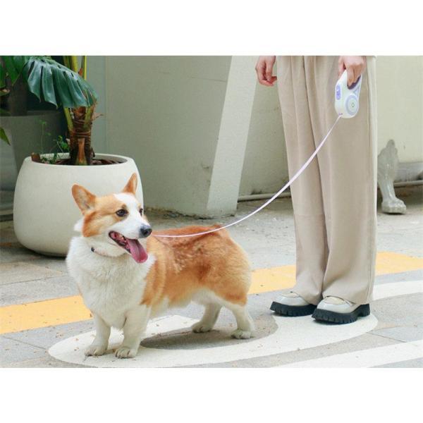 5m 電池別売り 小型犬 単4 散歩 伸縮 電池式 長い ワンタッチ 夜間 犬用リード ロック機能付 中型犬 軽量 巻き取り ライト付き リード 光る