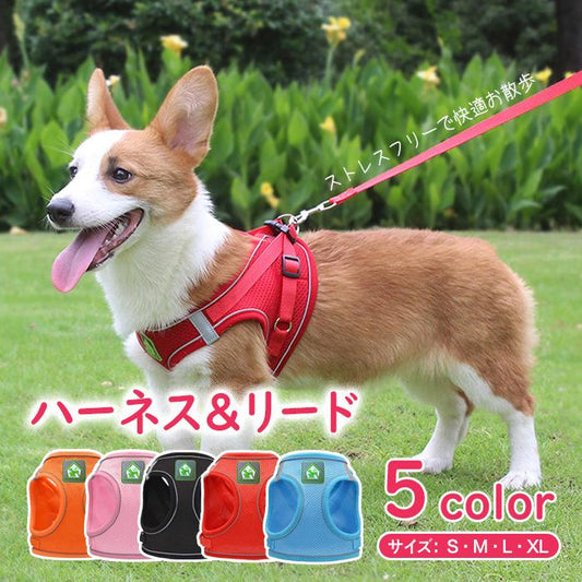 リード付 可愛い 夜間反射材 首輪 犬 送料無料 サイズ調整可 小型犬 散歩 ハーネス 中型犬 おしゃれ 簡単装着 ペット