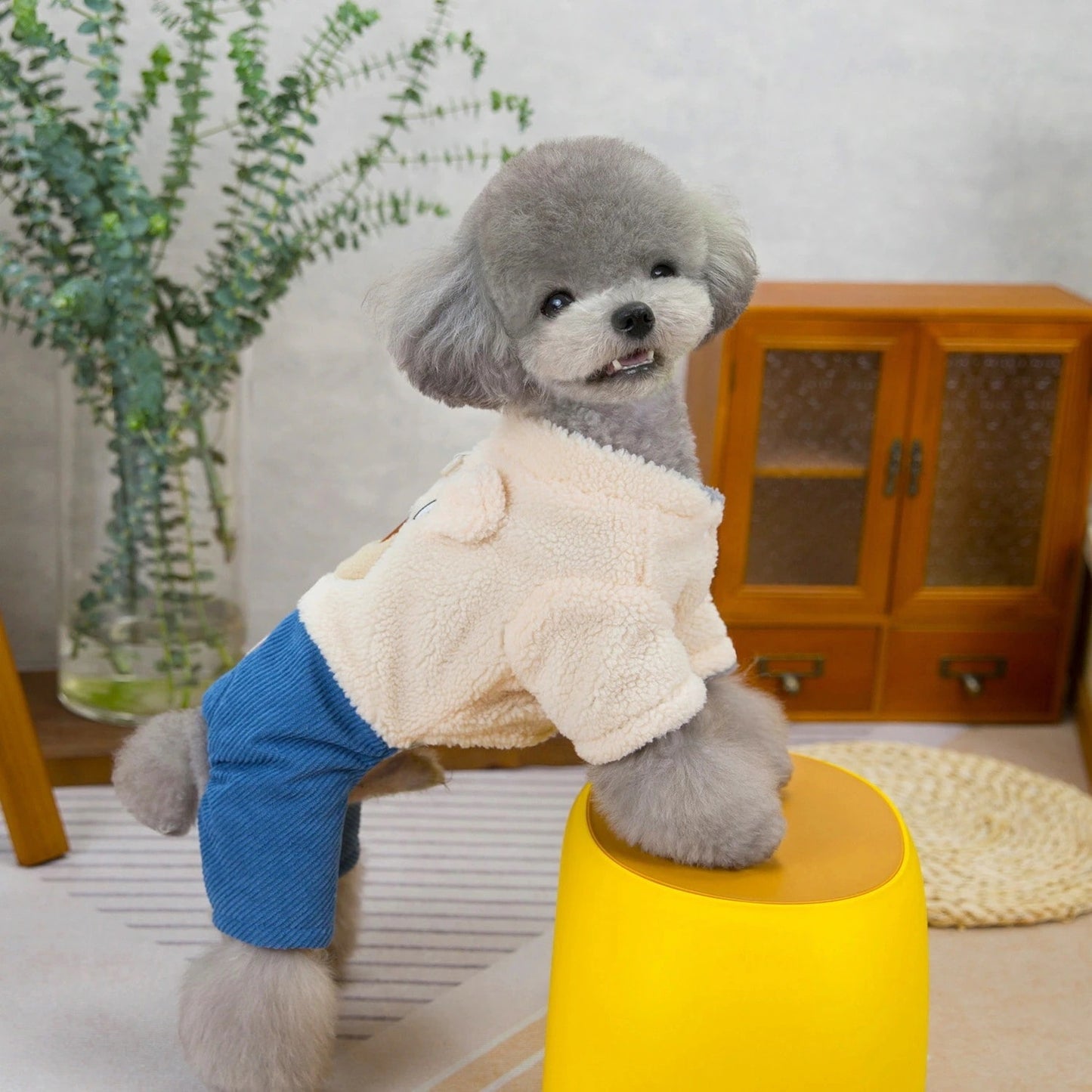人気犬の服ペットの服小型犬猫が着ることができる秋冬暖かい快適なかわいいクマラムコート