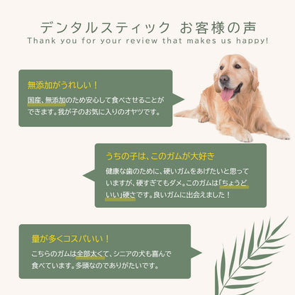 <a href="https://www.qoo10.jp/gmkt.inc/Search/brand.aspx?brandno=60969" target="_blank" class="title_brand" id="btn_brand" title="ガム">ガム</a>犬用おやつ デンタルスティック 国産 無添加 200本 (50本4袋) ペット はみがき 犬用 おやつ 着色料不使用 保存料不使用 小型犬 中型犬 大型犬