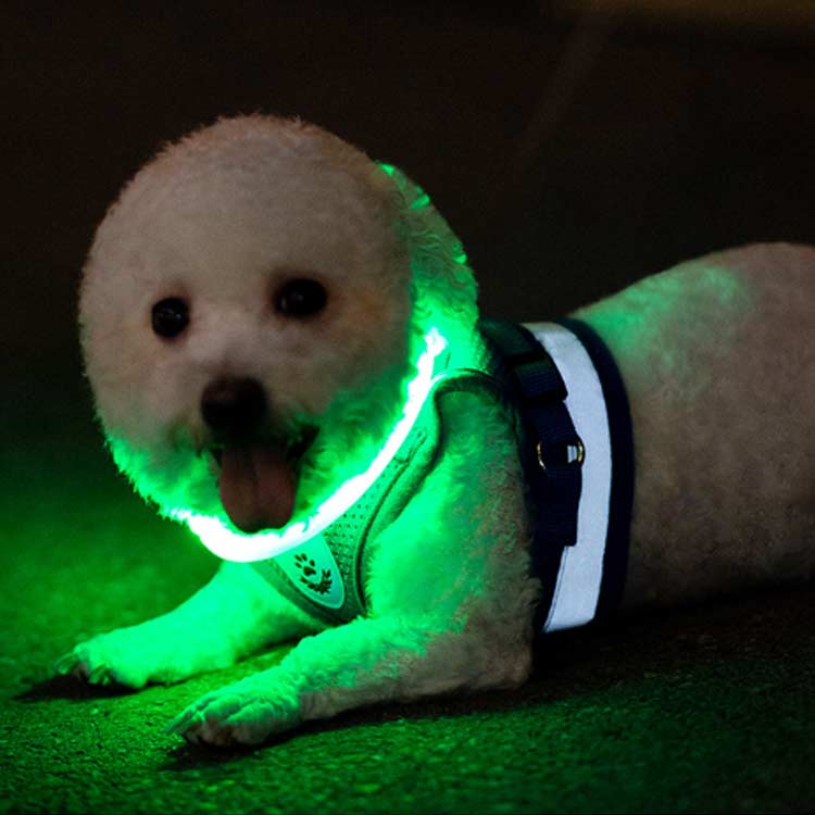 USB充電 ペット LED 光る カラー 小型犬 便利 散歩 リード ライト 首輪 光 繰り返し使える 犬 大型犬 光る首輪 猫 アウトドア 事故防止 安全グッズ ペット用品 柔らかい 痛くない ドッ