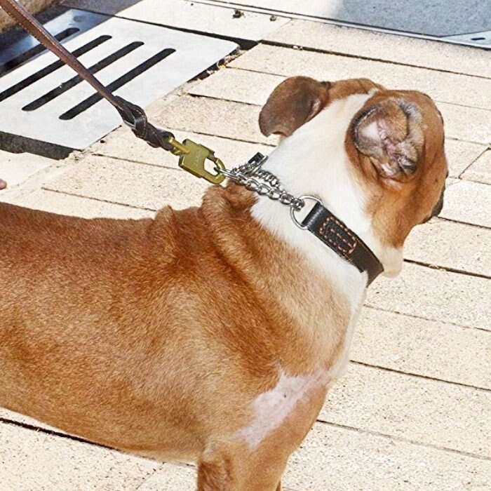 犬 ハーフチョーク 本革 首輪 犬首輪 革 おしゃれ かわいい 大型犬 犬の首輪 ゴールデン いぬ