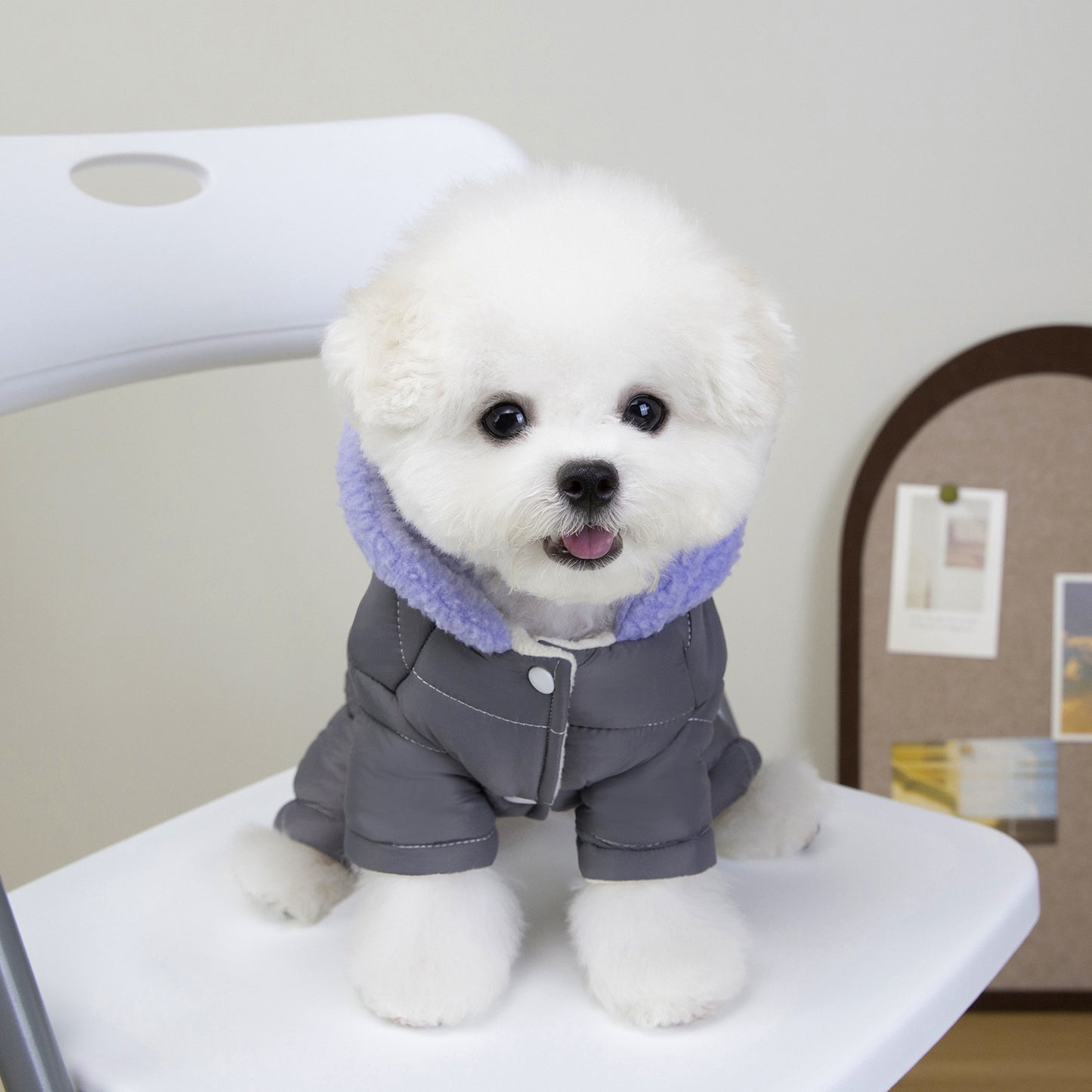 猫 犬 洋服 犬服 ペット服 大中小型犬 ペット用品 犬/猫用 犬の服 ペットウエア 小型犬 中型犬 通気 可愛い ドッグウェア トレーナー 犬 服 ワンピース サロペット ビションフリーゼ 犬猫服