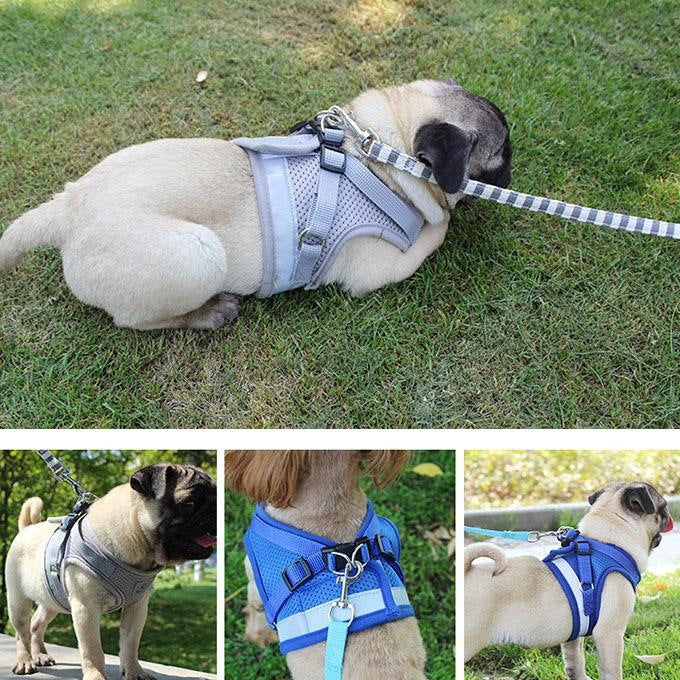 ペットグッズ 犬用品 首輪胴輪 リード ハーネスリード 犬 猫 ハーネス 新品 大人気 小型犬 中型犬 猫用 ネコ ウェアハーネス 犬ハーネス 抜けない