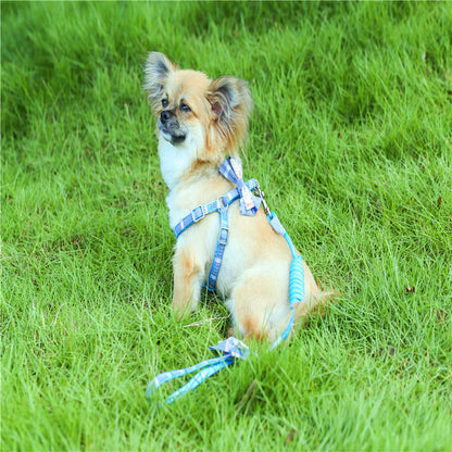 ペットハーネス シンプル お散歩 犬 小型犬 ハーネスリードセット 猫用 中型犬 簡単装着 お出かけ 161 ハーネス 犬用ハーネス リーシュ 胴輪 ペット用品 軽量 おしゃれ リード ネコ用ハーネス