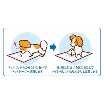 【即納】ボンビアルコン (Bonbi) しつけるシーツ幼犬用neoレギュラーサイズ 40枚 レギュラー