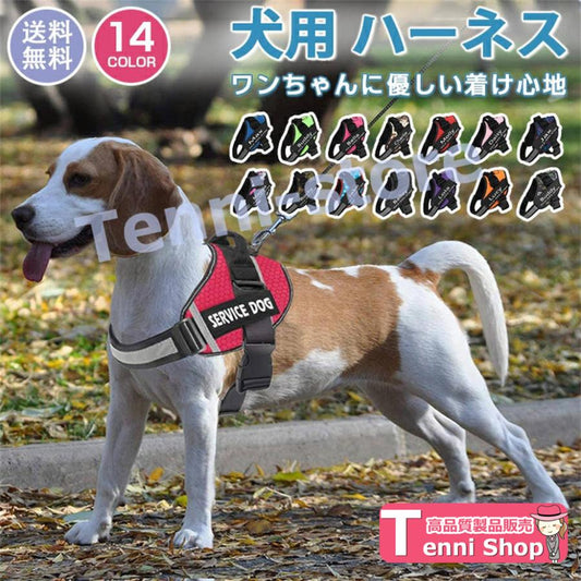 今週の新製品 タイムセール 犬 ハーネス 名前 胴輪 単品 名入れ イニシャル 簡単装着 引っ張り防止 抜けない 小型犬 中型犬 大型犬 かわいい 散歩 お出かけ アウトドア 【一部当日発送】 在庫が