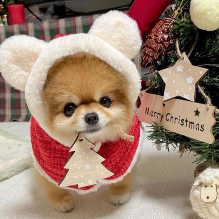 売れ 犬の服 クリスマス クリスマス 猫 フード付き 服 犬 犬服 ペット服 猫服 サンタさん コスチューム 着ぐるみ 犬服 クリスマスマント 犬用 猫用 マント マント サンタローブ コスプレ サン