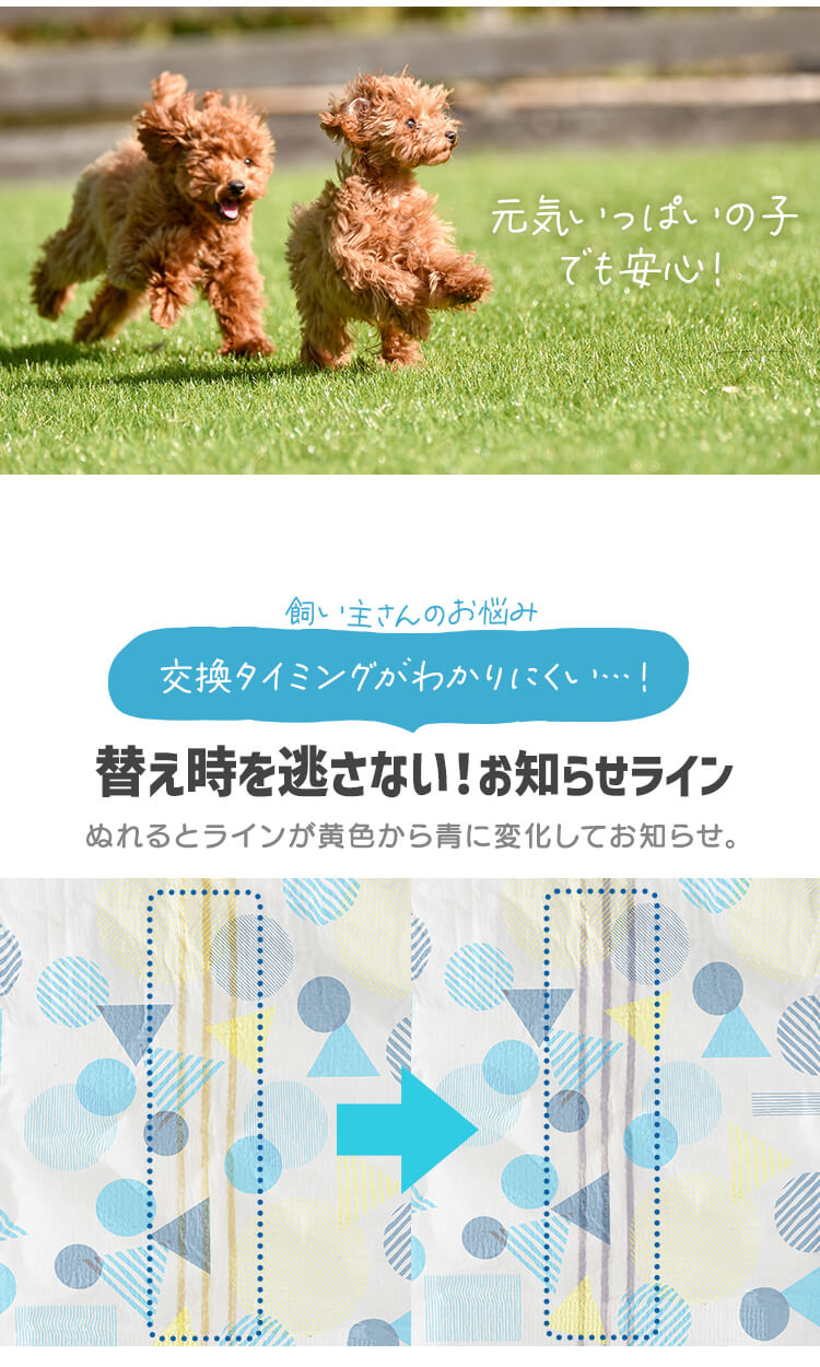<a href="https://www.qoo10.jp/gmkt.inc/Search/brand.aspx?brandno=49458" target="_blank" class="title_brand" id="btn_brand" title="アイリスオーヤマ">アイリスオーヤマ</a>【公式】長時間安心／ ペットオムツ 男の子 マナーベルト オス 超小型犬 中型犬 ペット用 紙おむつ 介護 粗相 PitaFit MNPD * 送料無料