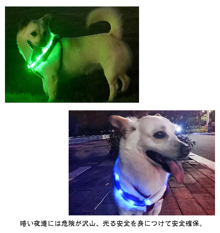 犬 光る首輪 首輪 光る 35cm 50cm 70cm カット自由 7色 小型犬 中型犬 大型犬 散歩 夜 LED ライト レインボー USB 充電式 ペット 猫 防水 事故防止 キラキラ 安全 犬の