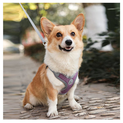 犬具 ハーネスリードセット 小型犬 ドッグ メッシュ ハーネスリード dog ベスト型 胴輪 犬用