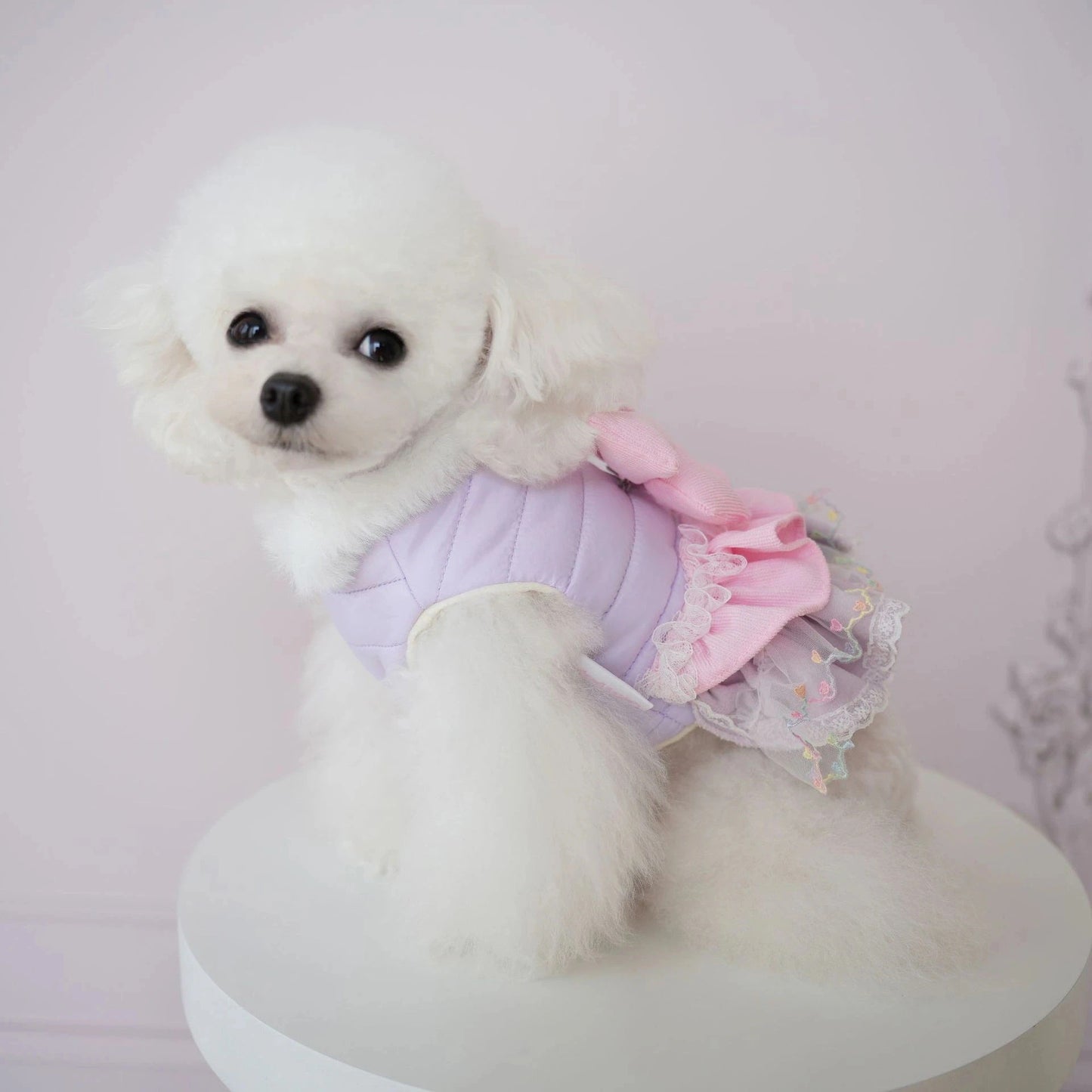犬の服ペット犬冬服横縞多層レース綿スカート防水コート小・中型犬二本足コート