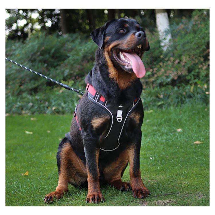 簡単着脱 大型犬 犬用 犬用ハーネス 犬 犬ハーネス 小型犬 胴輪 犬具 中型犬 ネコ ウェアハーネス 犬用ハーネス ハーネス 抜けない 一体型 反射 ハーネス かわいい ハンドル付 調節可能 引っ張