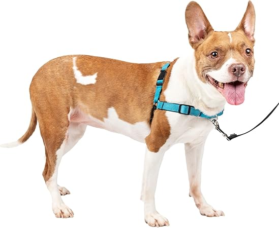 犬用 引っ張り防止ハーネス デラックスイージーウォークハーネス オーシャンブルー×ブラック M