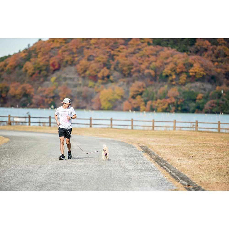 【人気商品】EZ リード ロードランナーライト EZYDOG