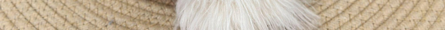 [犬 服]犬 洋服 ins人気商品 犬服春夏新作かわいいベスト小型犬服