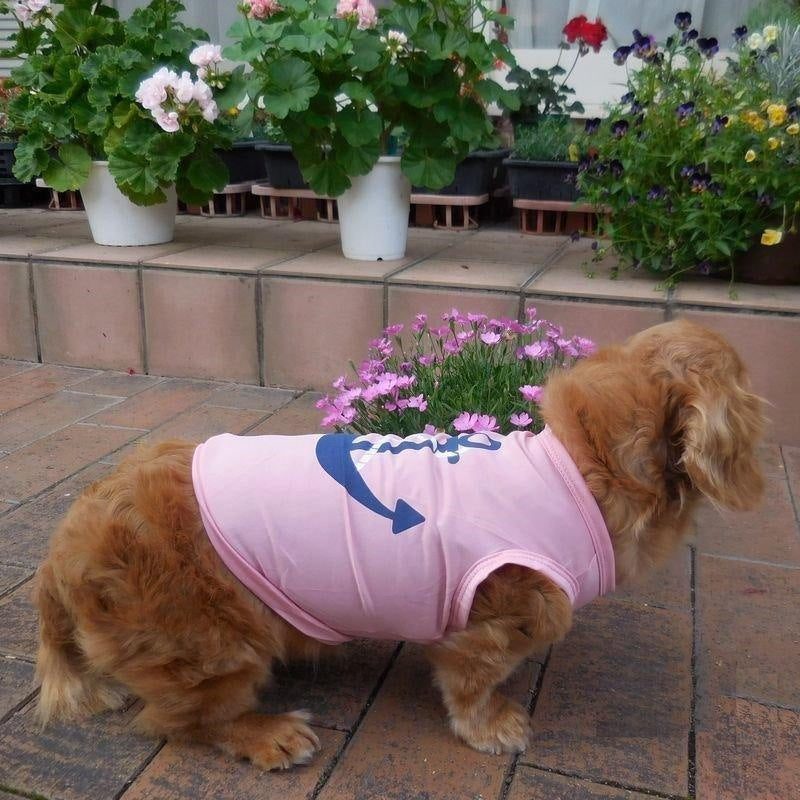 超人気 ペットファッション 犬服 ドッグウェア ペットウェア 薄手 ノースリーブ プリントＴシャツ 碇 マリン 犬用 犬 いぬ ドッグ 可愛い かわいい
