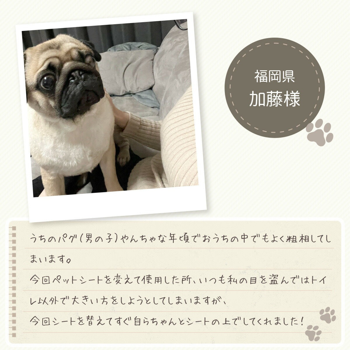 <a href="https://www.qoo10.jp/gmkt.inc/Search/brand.aspx?brandno=126282" target="_blank" class="title_brand" id="btn_brand" title="Laundly">Laundly</a>最短翌日到着 ペットシーツ 小分け 薄型 ペットシート ワイド 100枚 レギュラー 200枚 スーパーワイド50枚 小分け容量 トイレシーツ 超薄型タイプ 1回使い捨て 犬 猫 トイレ シー