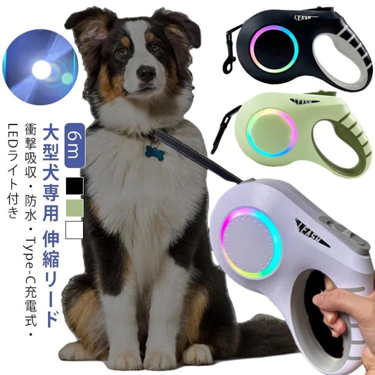 大型犬 伸縮リード 6m LED ライト付き 雰囲気ライト USB 充電式 犬 リード 伸縮 光る 犬用 中型犬 小型犬 ドッグリード タッチパネル ワンタッチ Type-C 充電 大容量電池 長時間