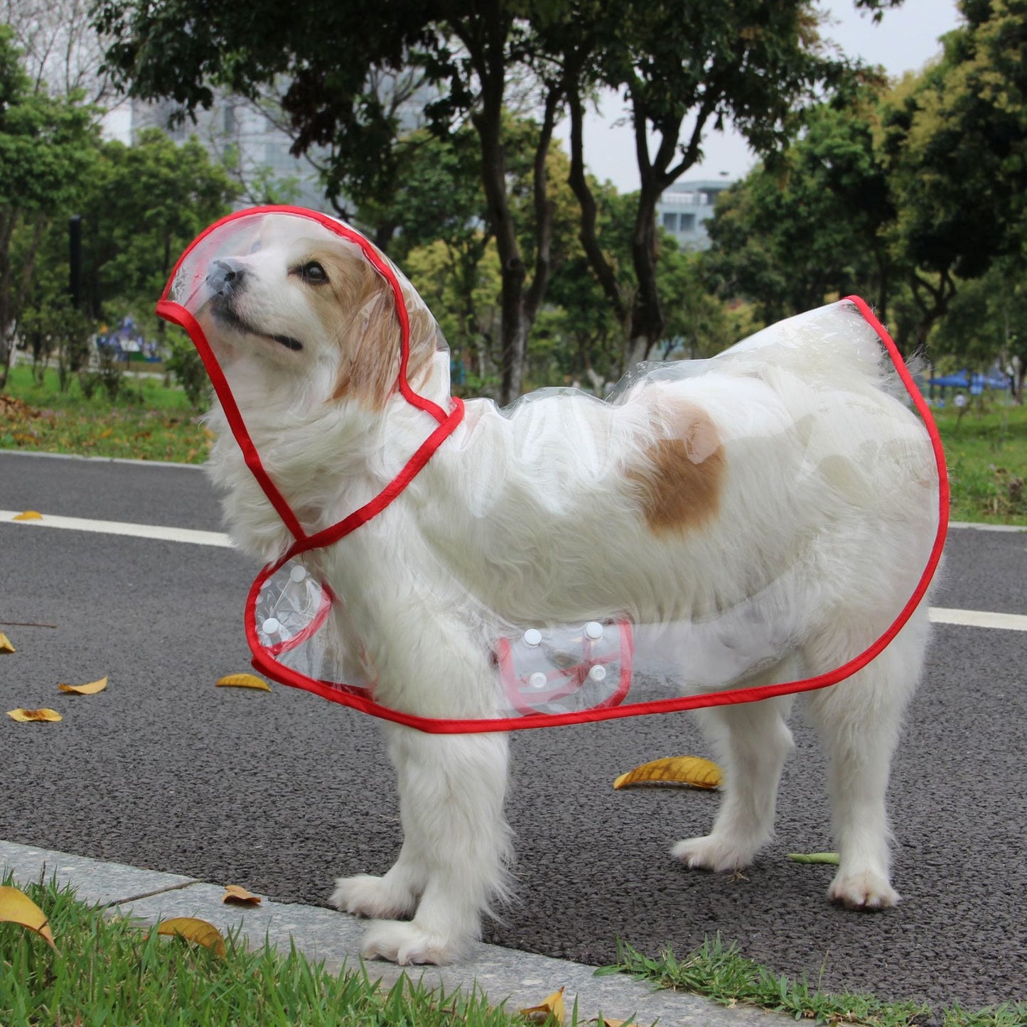 人気ペット用品 犬 マッキントッシュ 小型犬 中型犬 新品 透明 ペット マッキントッシュ