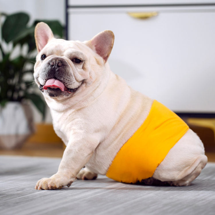 沸騰新柄追加 犬用 マナーベルト 男の子 おむつカバー いぬ用 トイレ用品 マナーバンド 生理用 犬服 マーキング防止 尿もれ オシッコ対策 しつけ ドッグウェア ズレ防止 小型犬 中型犬 大型犬 ペ
