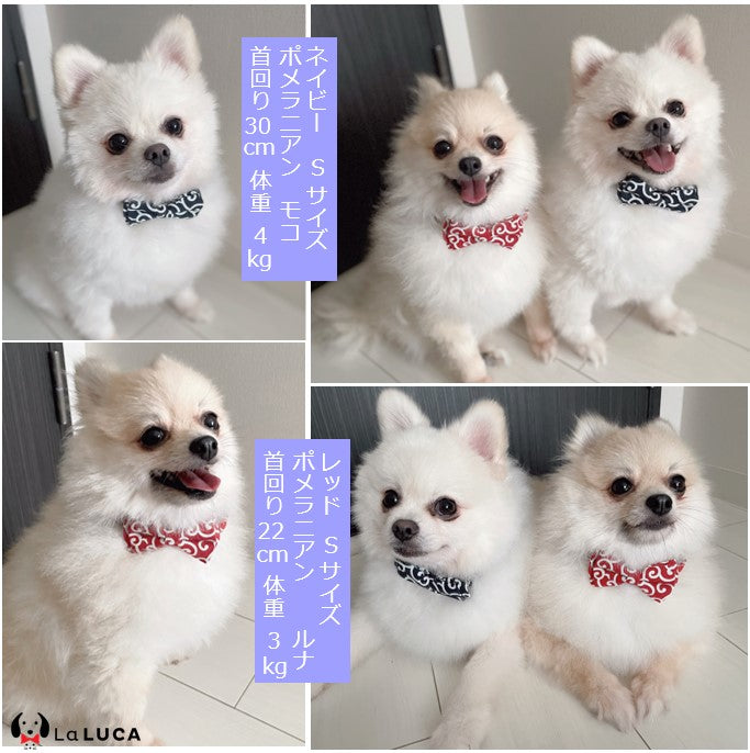 ドッグ 犬 唐草柄 首輪 首輪 犬用品 和柄 ペット用品 犬 猫 おしゃれ LaLUCA 唐草 ペットグッズ 和風 散歩