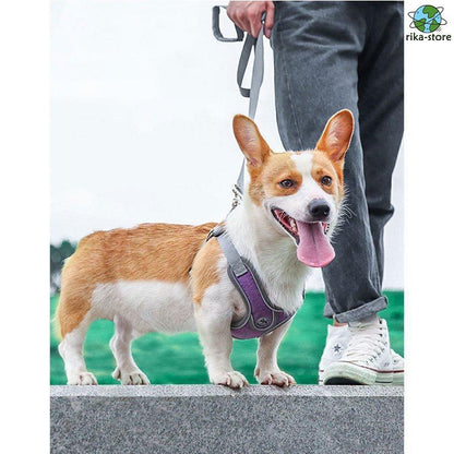 リード 大型犬 反射素材 中型犬 ハーネス リフレクター付き サイズ調整可 負担軽減 2点セット 衝撃緩和 通気性 丈夫 小型犬 かっこいい 頑丈 犬用