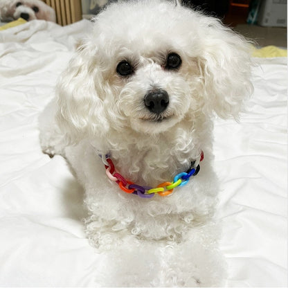 ペットチェーンカラーネックレス ペット用首輪 首輪 犬 猫 小型犬 中型犬 可愛 ペット用アクセサリー ペットグッズ シンプルカラーペット用首輪