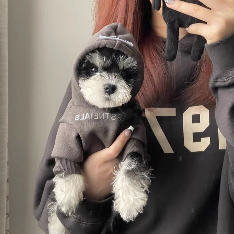 新作入荷 犬 服 犬服 秋 冬 ペット服 犬 洋服 犬服 2024 秋新作 小型犬 スウェット 冬モデル