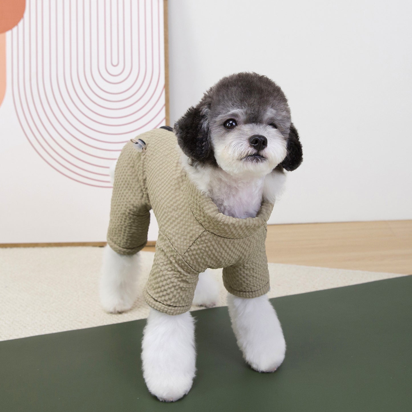 猫 犬 洋服 犬服 ペット服 大中小型犬 ペット用品 犬/猫用 犬の服 ペットウエア 小型犬 中型犬 通気 可愛い ドッグウェア トレーナー 犬 服 ワンピース サロペット ビションフリーゼ 犬猫服