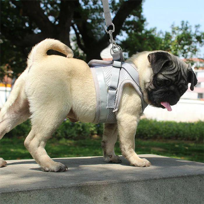 新商品プロモーション，数量限定 犬 ハーネス リード付 ペット 服 ウェアハーネス 胴輪 キャット ドッグ メッシュ犬 ハーネス