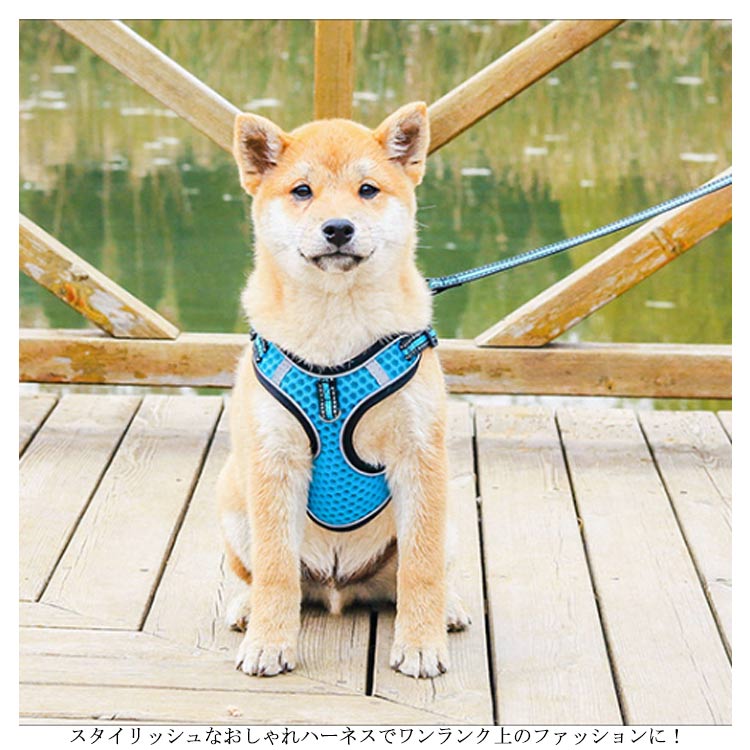 ハーネスリードセット 犬 ハーネス 小型犬 中型犬 大型犬 犬 ウェアハーネス 胴輪 キャット ドッグ ペット トレーニング ペット用品 お散歩 しつけ リード 引っ張り 防止 メッシュ 装着しやすい