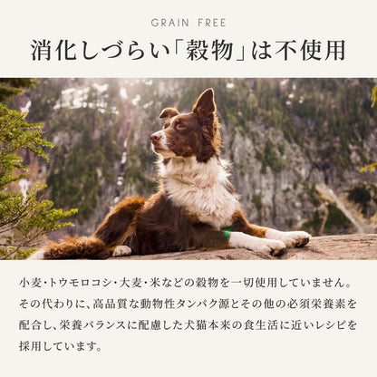 ドッグフード チキン (2kg) ドライフード 全犬種・全年齢 対応 【着色料・香料不使用 グレインフリー】