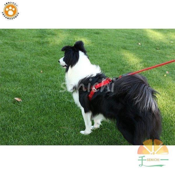 犬 リード ハーネス 紐 散歩紐 犬用ハーネス＆リード けん引ロープ ペット用品