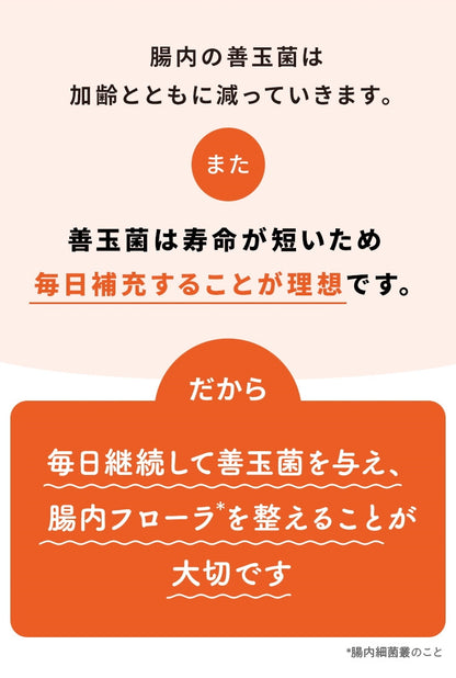 <a href="https://www.qoo10.jp/gmkt.inc/Search/brand.aspx?brandno=62316" target="_blank" class="title_brand" id="btn_brand" title="大正製薬">大正製薬</a>【公式】大正製薬 わんビオフェルミンS 40g 6袋 犬 サプリ サプリメント 腸活 免疫力 健康維持 ビフィズス菌 乳酸菌 犬サプリ イヌ 犬用 ペット 腸活サプリ 無添加 ふりかけ 粉 腸内環境