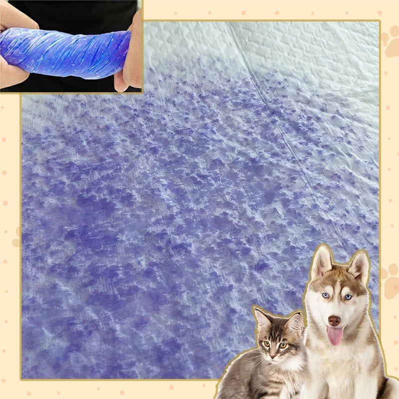 <a href="https://www.qoo10.jp/gmkt.inc/Search/brand.aspx?brandno=122762" target="_blank" class="title_brand" id="btn_brand" title="HAMI PET">HAMI PET</a>ペットシーツ業務用 レギュラー 1200枚 薄型