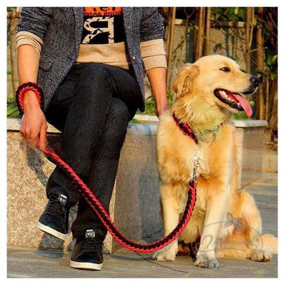 リードと首輪セット 首輪セット リードセット 首輪 小型犬 中型犬 大型犬 犬 首輪 犬用 リード 散歩 お出かけ ドック用品 リード長さ1.2メートル