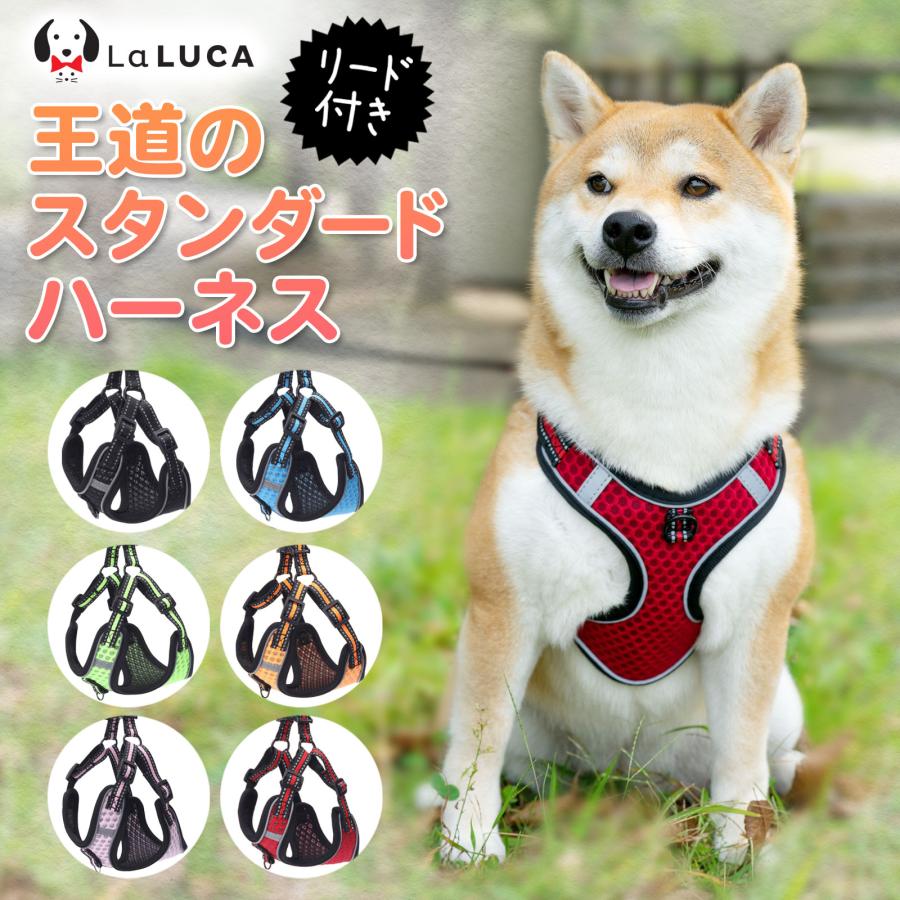 犬 ハーネス リード 抜けにくい 小型犬 中型犬 大型犬 ハーネスリードセット スタンダード 抜けない 犬用 首輪 胴輪 散歩