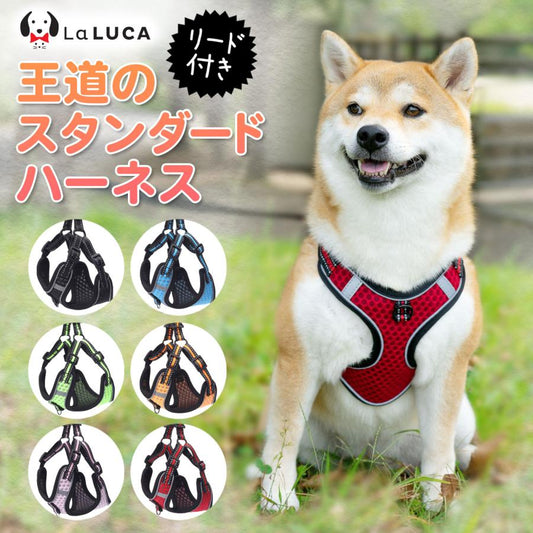犬 ハーネス リード 抜けにくい 小型犬 中型犬 大型犬 ハーネスリードセット スタンダード 抜けない 犬用 首輪 胴輪 散歩
