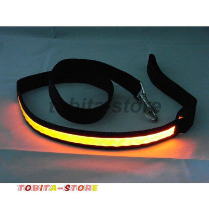 リード 牽引紐 散歩紐 光る LEDライト ペット用品 犬用 猫 電池式 お散歩グッズ 夜の散歩 夜道 夜間 安全対策 イヌ ドッグ