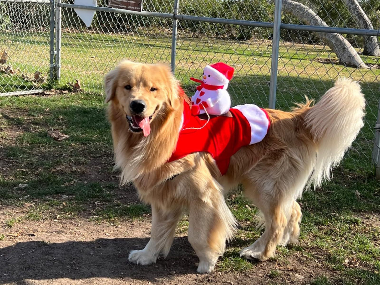 ペット犬クリスマス衣装サンタ乗馬スーツクリスマスペット服鹿乗馬スーツペットクリスマス用品