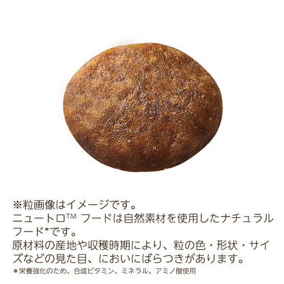 <a href="https://www.qoo10.jp/gmkt.inc/Search/brand.aspx?brandno=70030" target="_blank" class="title_brand" id="btn_brand" title="ニュートロ">ニュートロ</a>ワイルドレシピ 超小型-小型犬 成犬用 サーモン 4kg NW108 期限26/07/31以降
