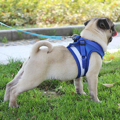 ペットグッズ 犬用品 首輪胴輪 リード ハーネスリード 犬 猫 ハーネス 新品 大人気 小型犬 中型犬 猫用 ネコ ウェアハーネス 犬ハーネス 抜けない